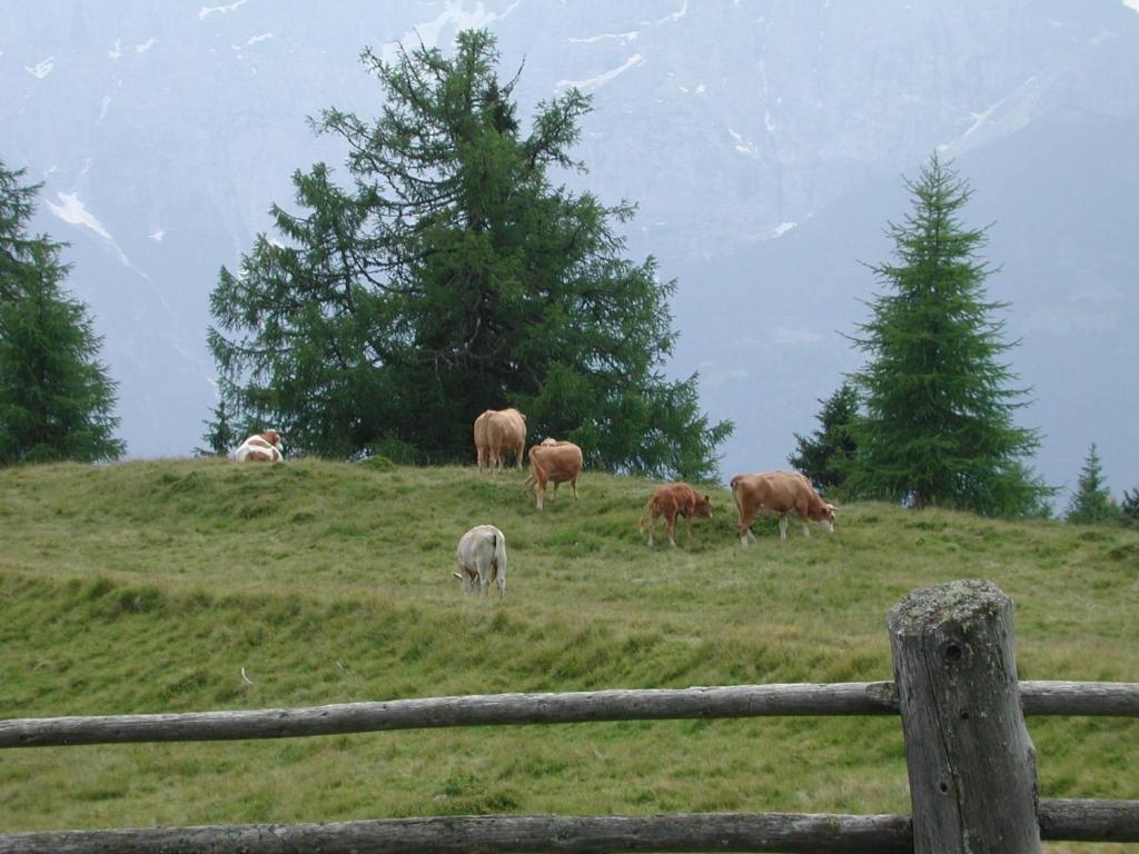 Iselsberg Straganzhofヴィラ エクステリア 写真